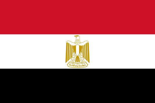 Flag of Egypt for TravelNet data eSIM product