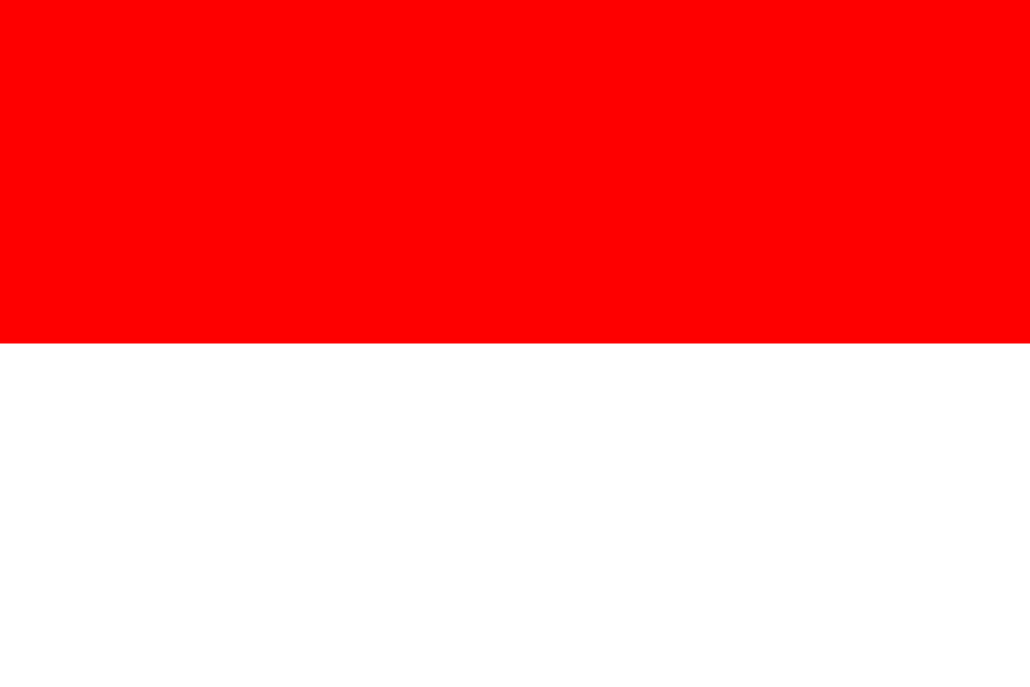 Flag of Indonesia for TravelNet data eSIM product