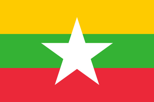 Flag of Myanmar for TravelNet data eSIM product