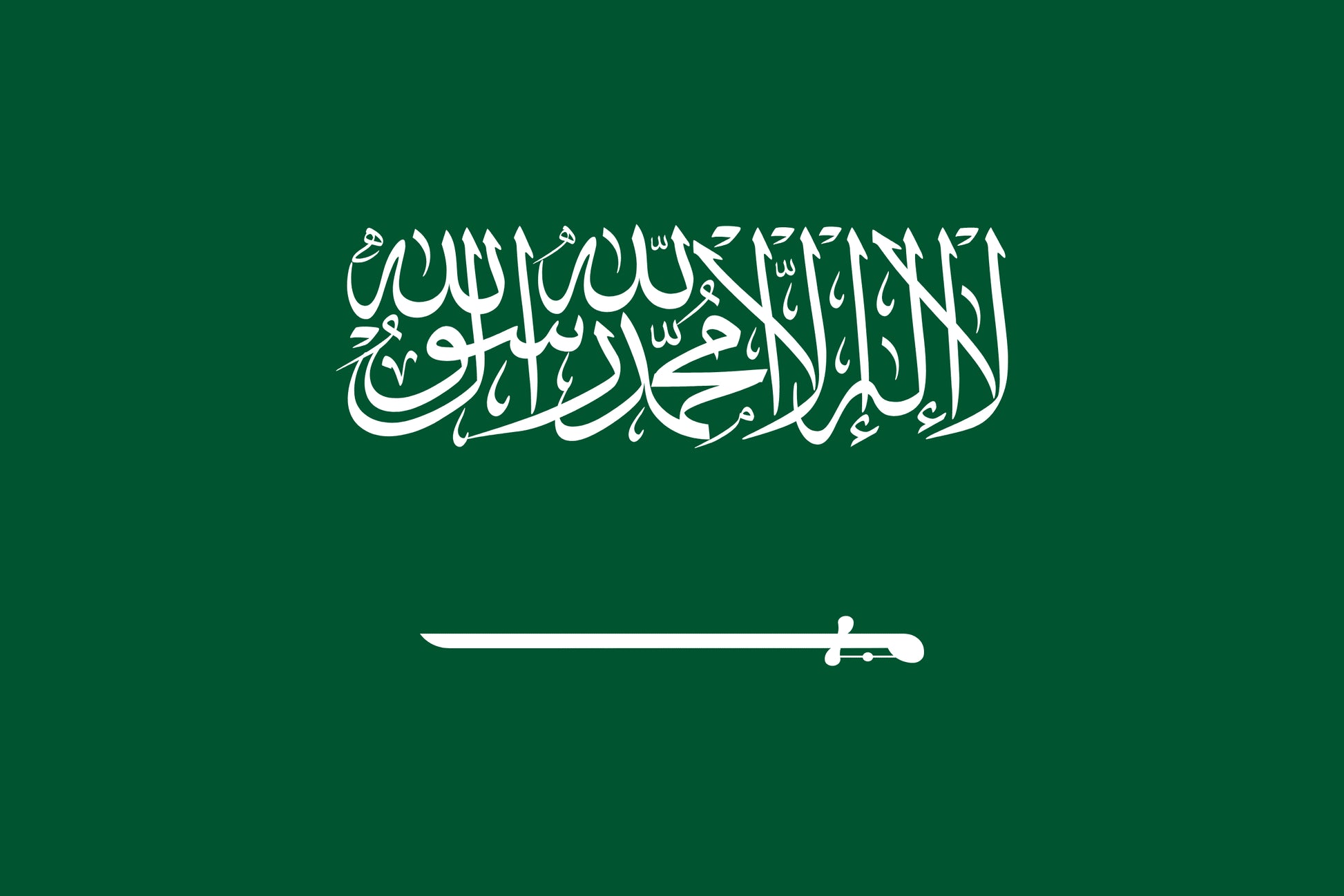 Flag of Saudi Arabia for TravelNet data eSIM product