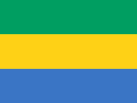 Flag of Gabon for TravelNet data eSIM product